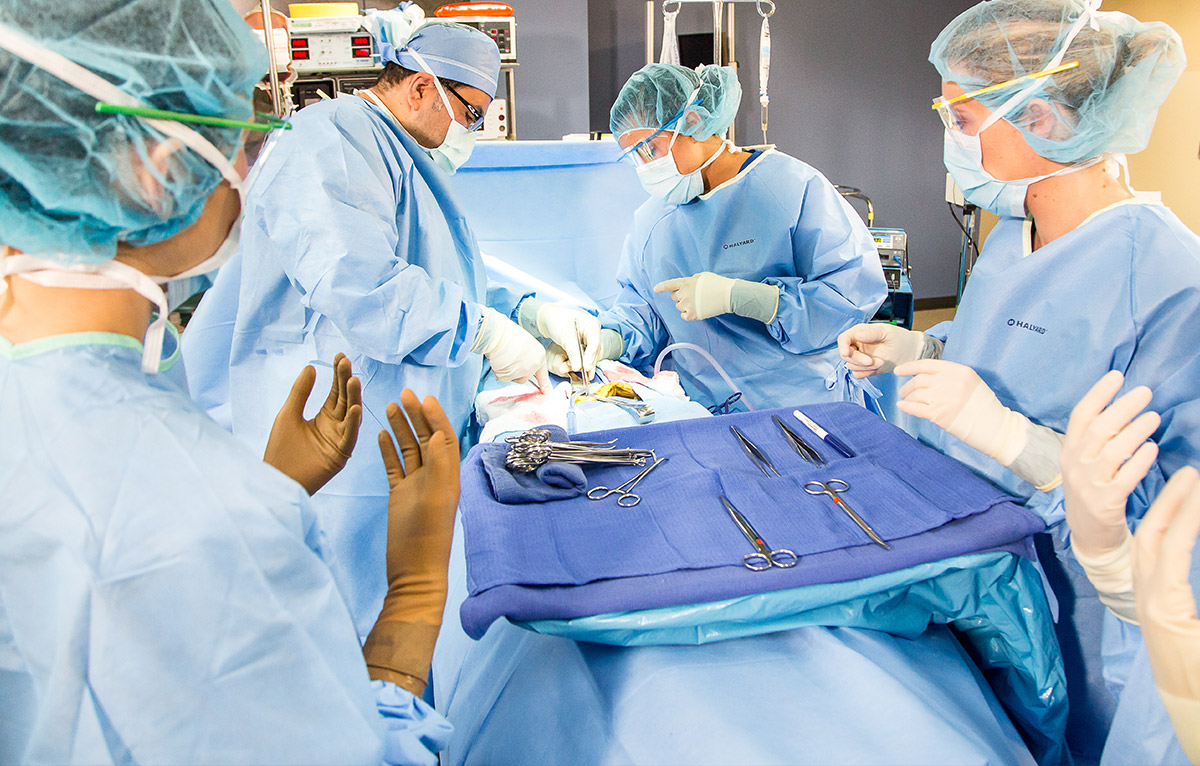 Surgical technologist jobs in australia